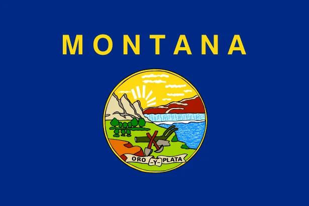 U.S state flag of Montana