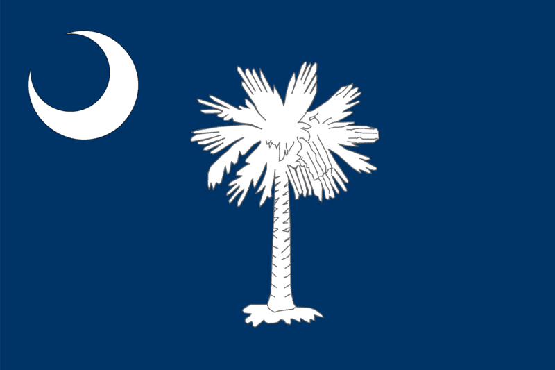 U.S state flag of South Carolina
